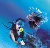 Scuba Diving on Curacao