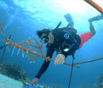Twee Tank AM bootduiken op Curaçao: Een onvergetelijk avontuur