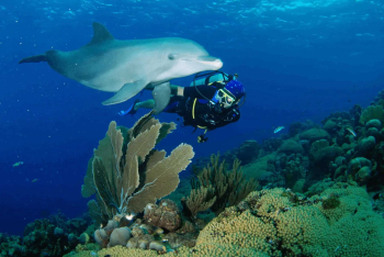 6 dagen duiken met 2 tankboten op Curaçao met Ocean Encounters