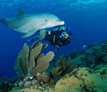 6 dagen duiken met 2 tankboten op Curaçao met Ocean Encounters