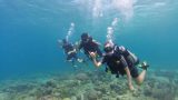 Tug Divers Curacao