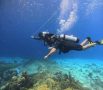 Tug Divers Curacao