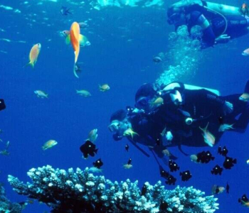 PADI Gevorderd Open Water Duiker