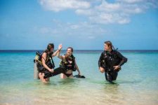 BlueBay Dive And Watersports