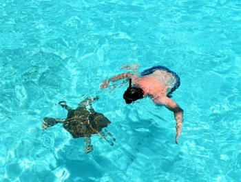 Turtle Outback & Caves Safari: An Unforgettable Adventure in Curacao