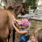 ponypret-curacao-08