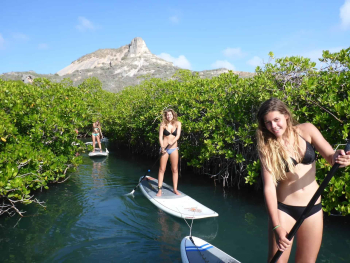 Discover the Magic of Curacao with a Spanish Water Mangrove SUP Tour