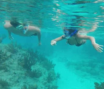 Uw vis is onze opdracht Tour