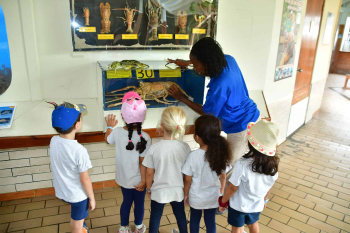 Ontdek mariene educatie in het Curaçao Sea Aquarium