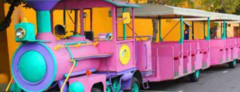 Rondleiding door Willemstad met de trolleytrein